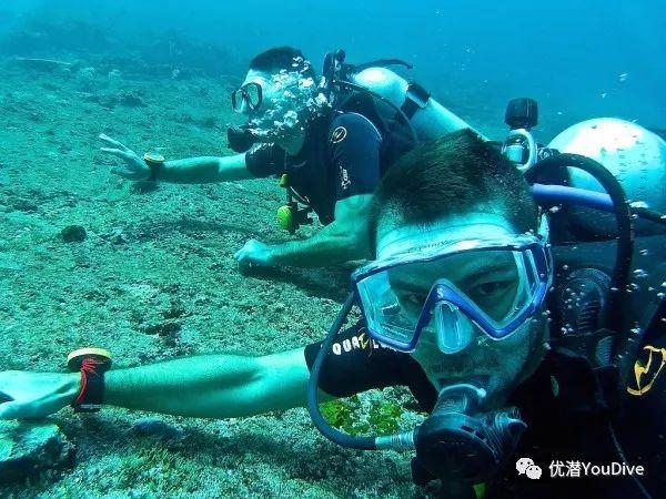 组装机械警暴龙2