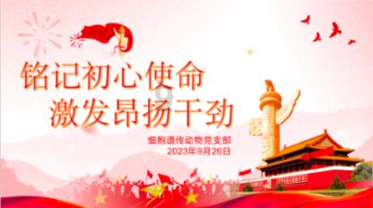 卫星化学2023年最高预盈52亿 加快产业链投资近三年研发费超35亿